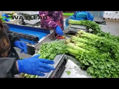 Máy đóng gói gối máy đóng gói đồ ngọt tự động