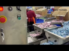 Chào mừng bạn đến xem quá trình vận hành hiệu quả của máy đóng gói túi.