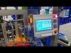 Custom Freeze Dried Food doypack Packaging Machine Line Patented Solutions