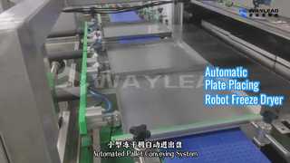 Máy sấy đông lạnh robot đặt tấm tự động