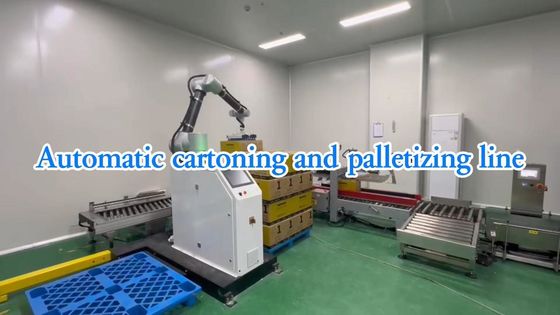 WG300 Công nghiệp tự động thực phẩm tự động gói dây chuyền giải pháp SUS304