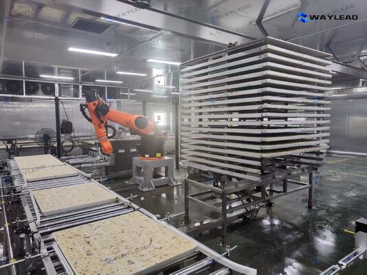 Robot đặt đĩa tự động hiệu quả cao được tùy chỉnh cho dây chuyền sản xuất máy đông lạnh